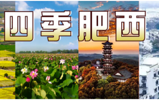 肥西短视频制作咨询 赏花悦木到肥西·微（短）视频大赛9月28日启动肥西邀您共同参与 记录精彩